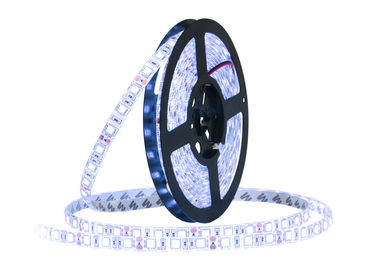 China Ultra Thin Flexible SMD 5050 LED Strip 5 Meter IP65 7000K Lighting CE / RoHS supplier