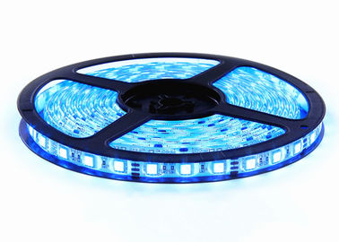 China 12V Colour Changing LED Strip Lights , Dimmable LED Strip Lights Multi Colour 5m supplier