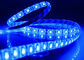 Double Layer IP65 Blue LED Strips 5M Roll White PCB Self Adhesive Easy Installation supplier